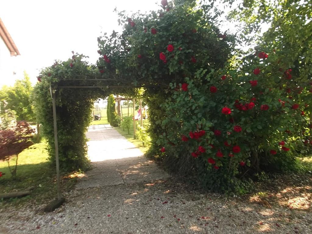 Agriturismo La Prateria Gazzo  Dış mekan fotoğraf