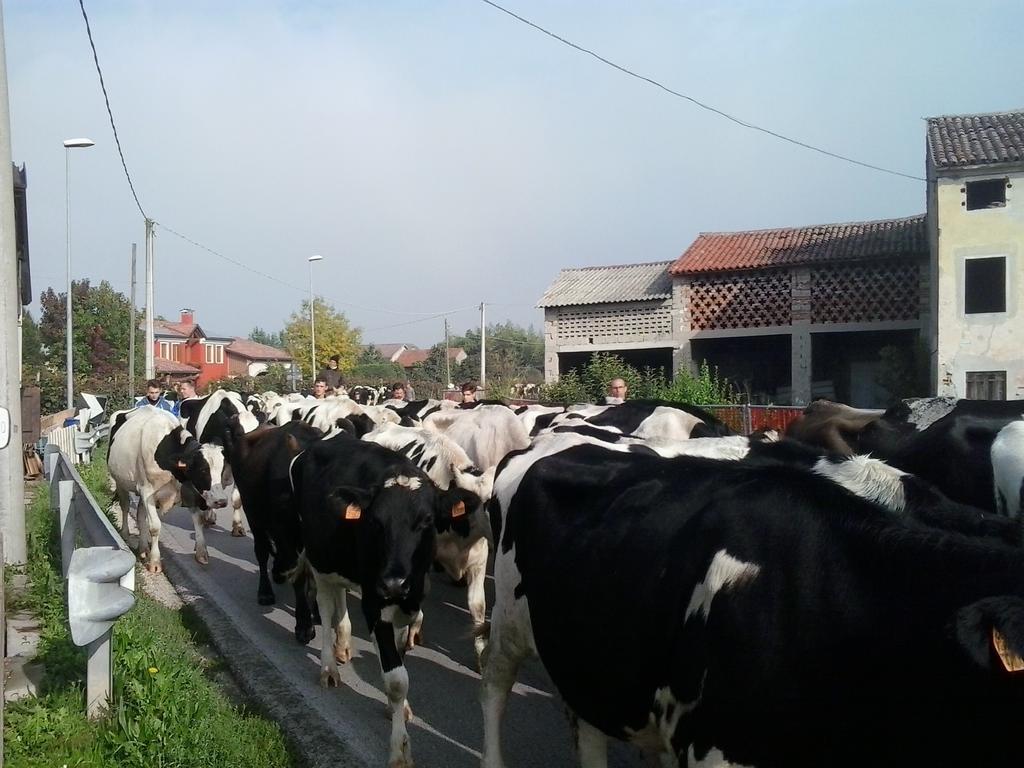 Agriturismo La Prateria Gazzo  Dış mekan fotoğraf